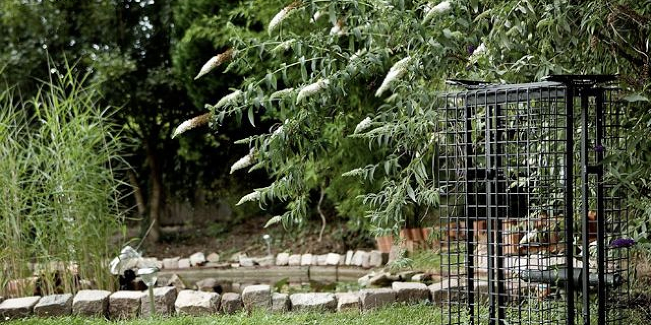 The Villa Garden - Dominastudio TBZ in Esslingen